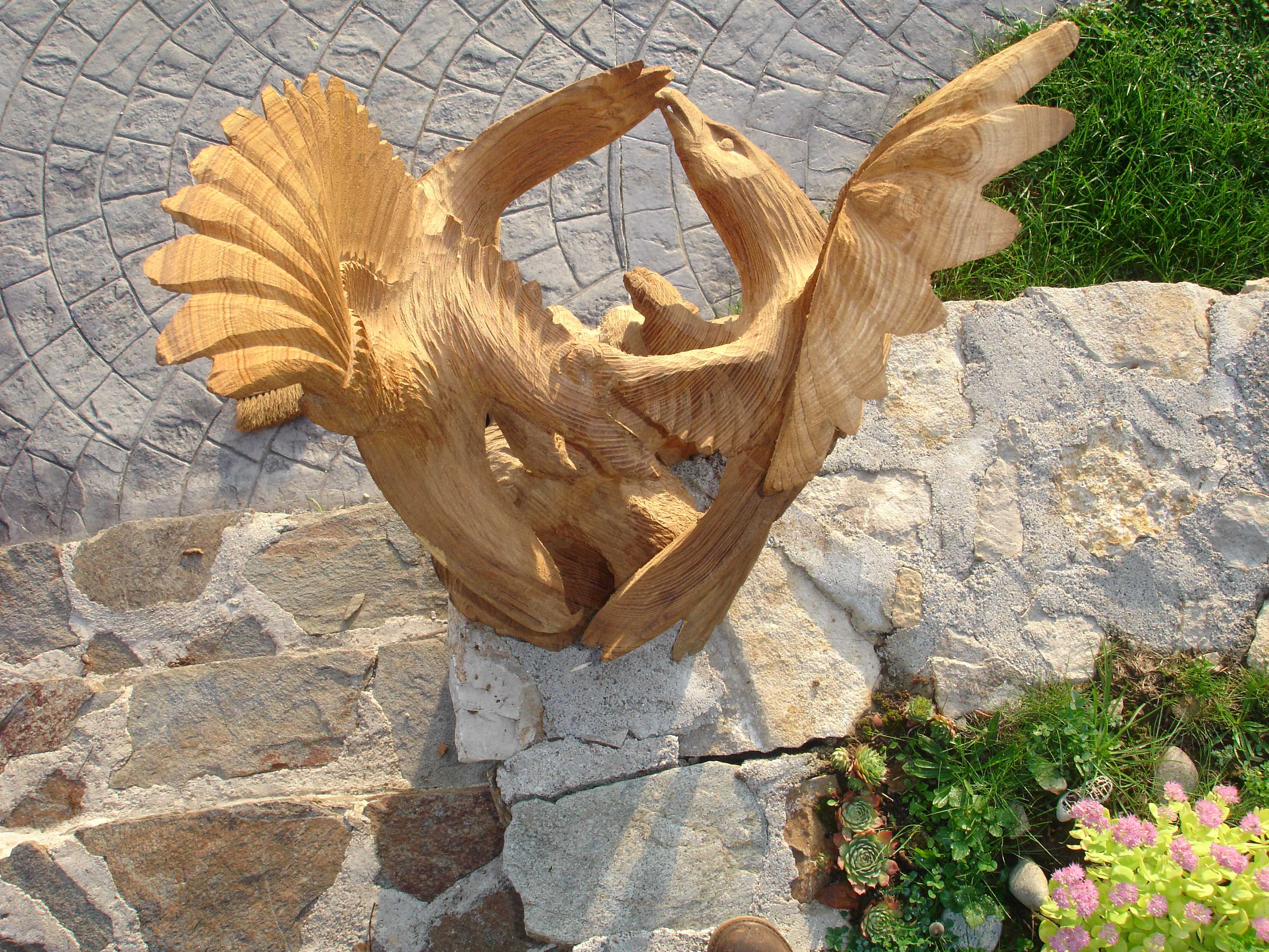 combat d'aigle